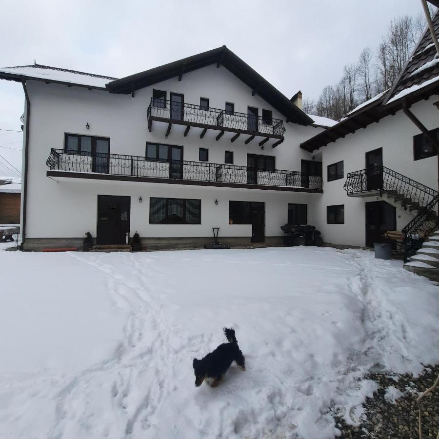 Casa Dana Olteanu Hotel Moeciu De Sus Exterior foto