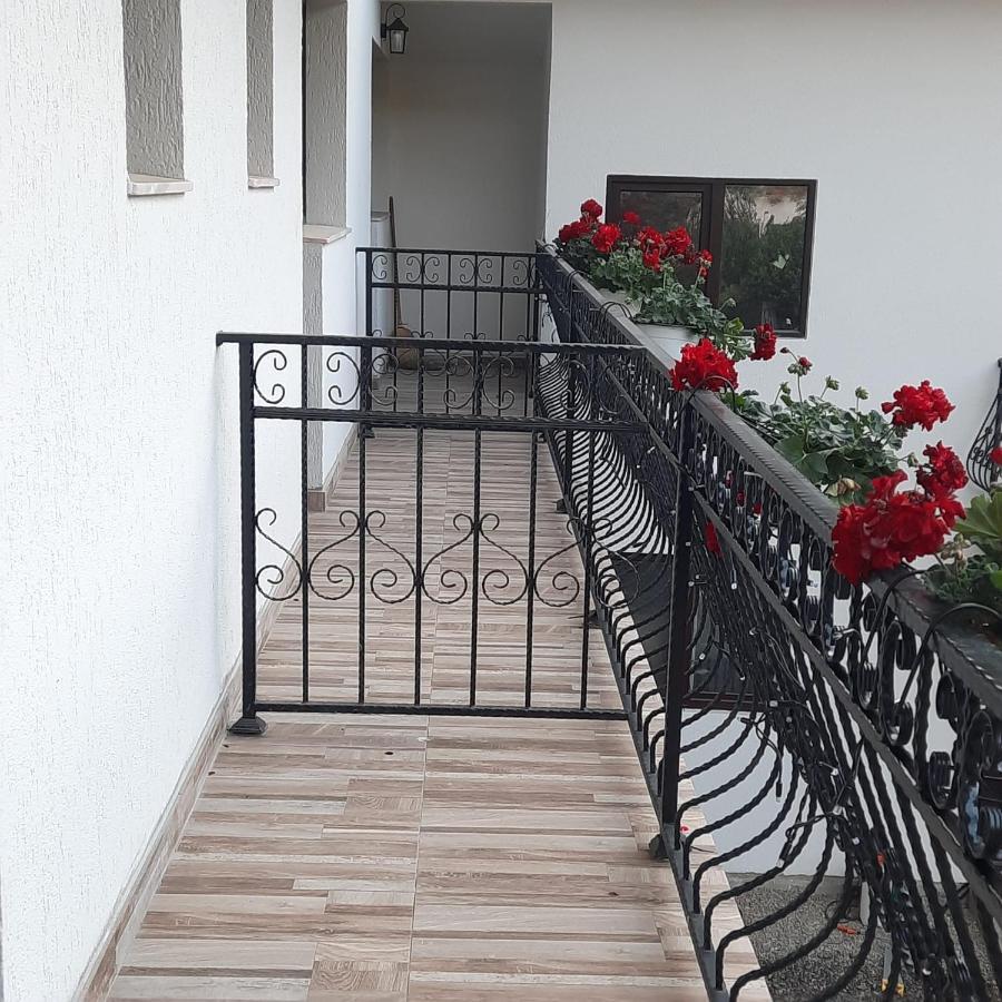 Casa Dana Olteanu Hotel Moeciu De Sus Exterior foto