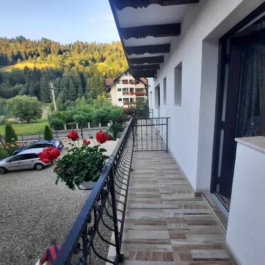 Casa Dana Olteanu Hotel Moeciu De Sus Exterior foto