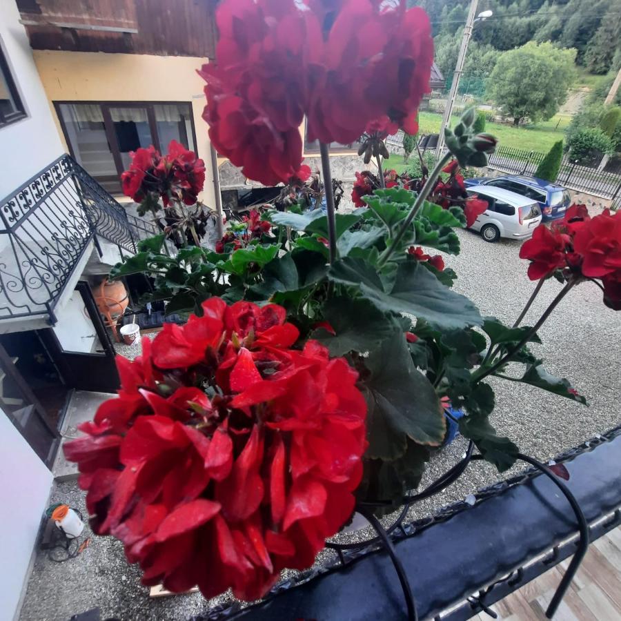 Casa Dana Olteanu Hotel Moeciu De Sus Exterior foto