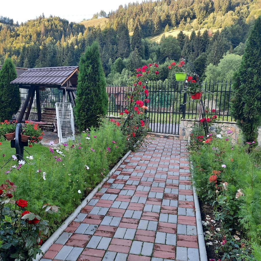 Casa Dana Olteanu Hotel Moeciu De Sus Exterior foto