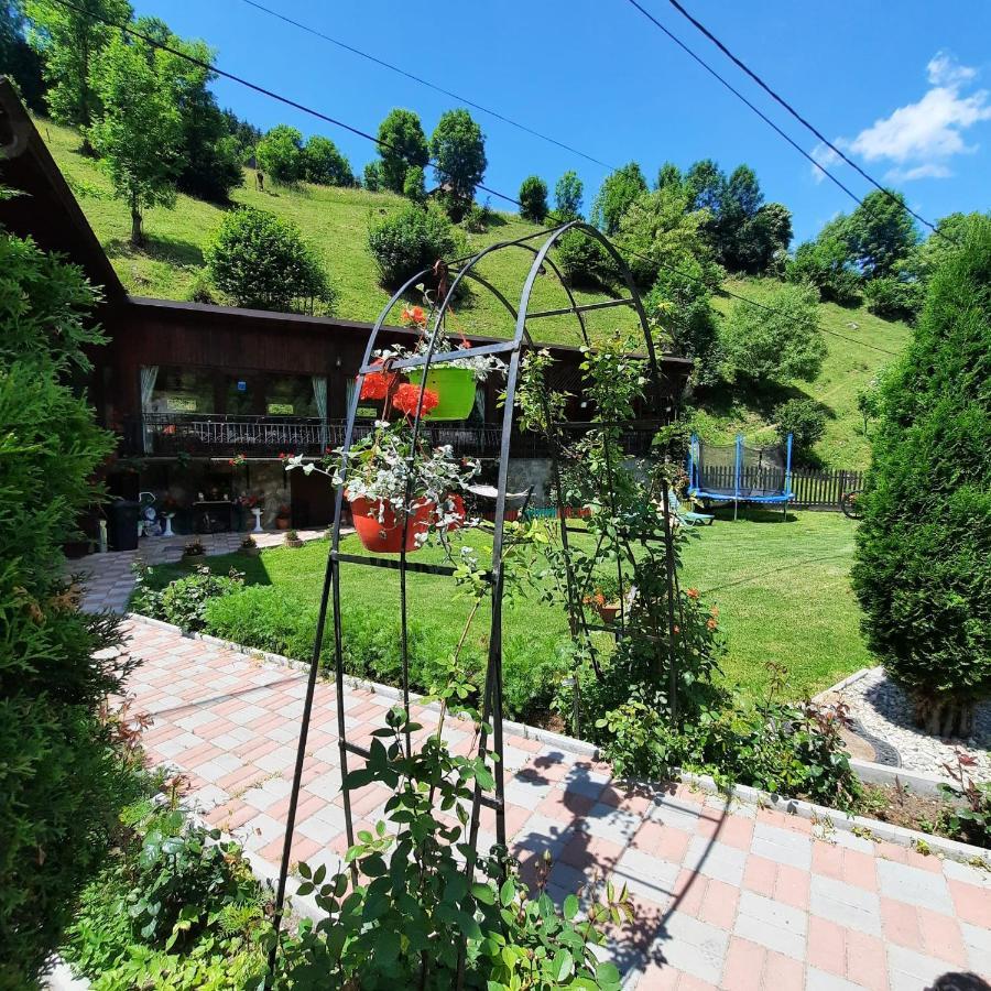 Casa Dana Olteanu Hotel Moeciu De Sus Exterior foto